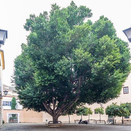 Alohamundi Escuelas Pias Севилья Экстерьер фото