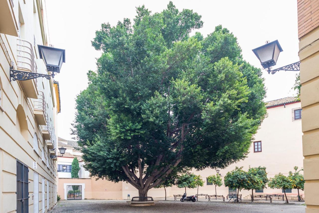 Alohamundi Escuelas Pias Севилья Экстерьер фото